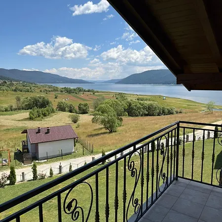 елеганс サルニトゥサ